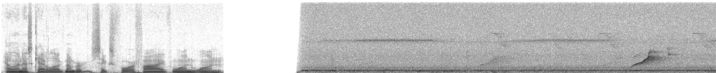 Whistling Dove - ML64511