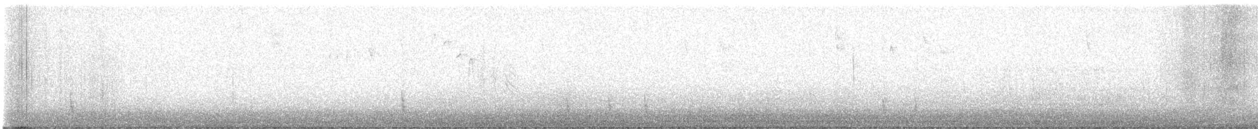 Einsiedler-Musendrossel - ML645110328