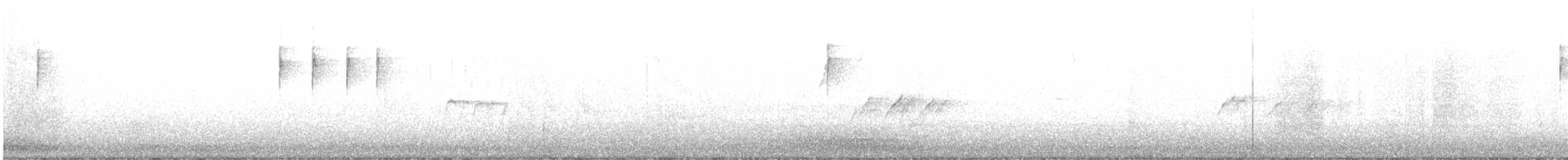 Pettirosso - ML645110468