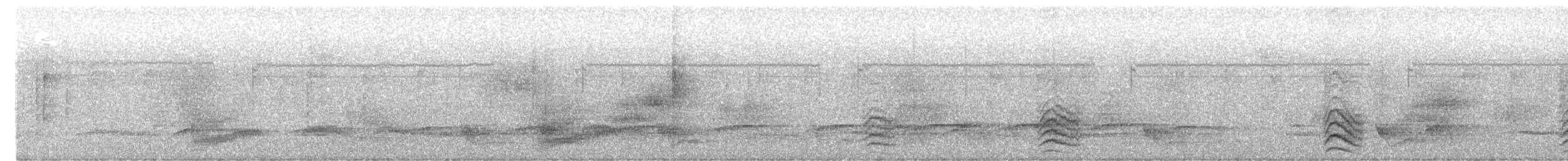 Plain Antvireo - ML645110735