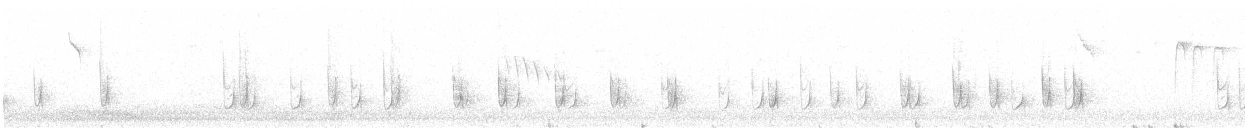 Kleiber - ML645111079