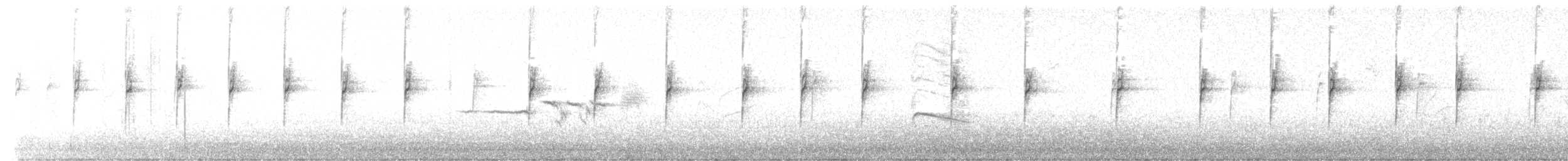 White-crowned Sparrow (leucophrys) - ML645111176