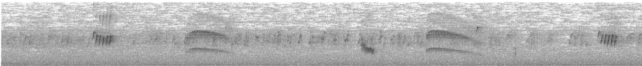 Pale-eyed Pygmy-Tyrant - ML645111604