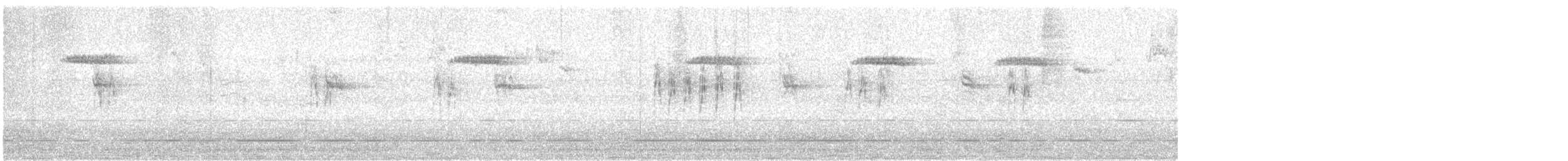 Lavandera Blanca (Enlutada) - ML645112636