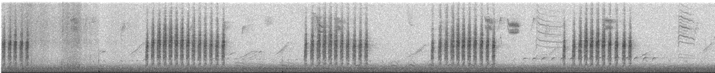 Northern House Wren - ML645114396