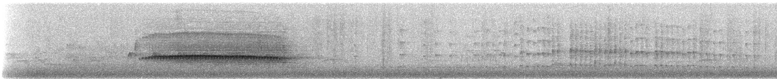 Fadenschwanzschlüpfer - ML645114508
