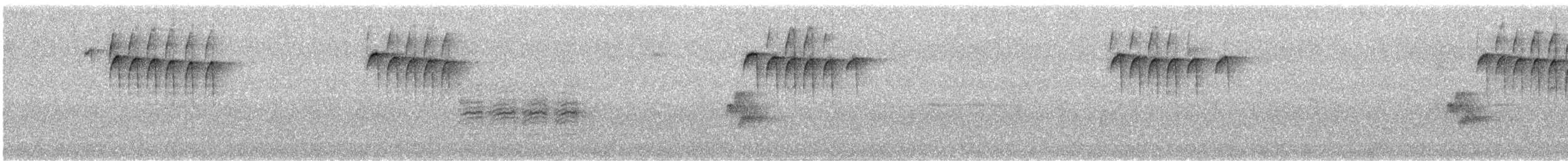 Black-capped Chickadee - ML645114543