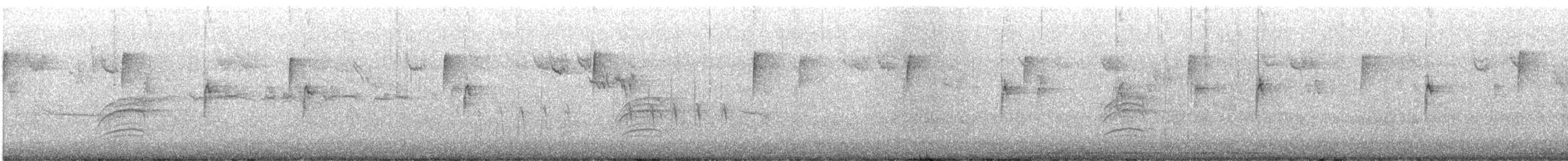 Hermit Thrush - ML645114715