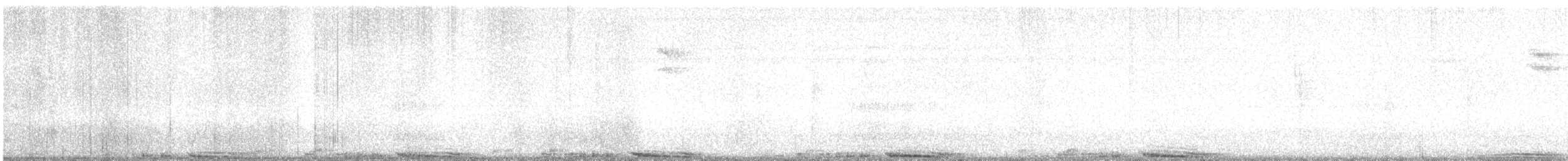 Rock Pigeon (Feral Pigeon) - ML645114783