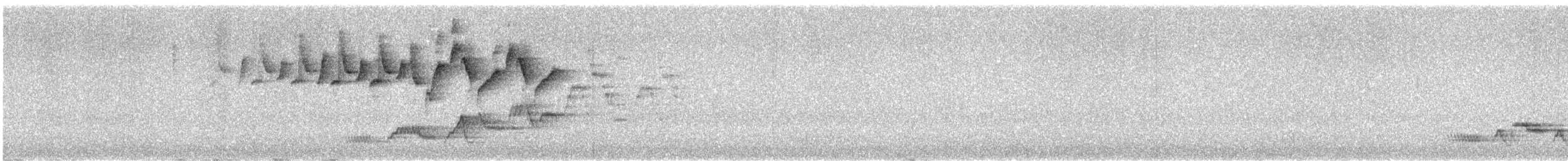 Swainson's Thrush - ML645115625