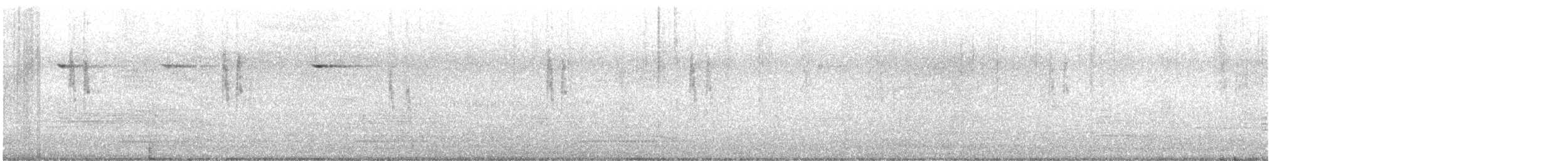 White Wagtail - ML645115878