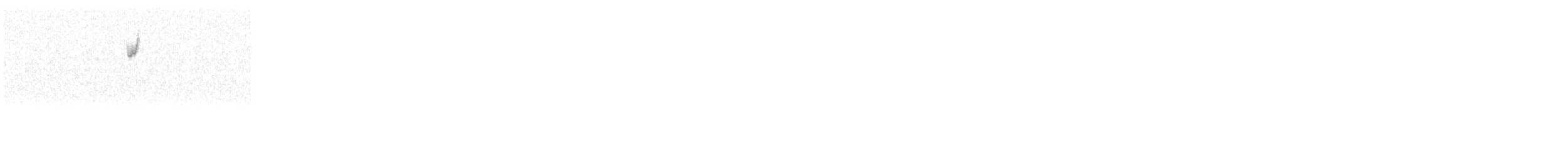 new world sparrow sp. - ML645117070