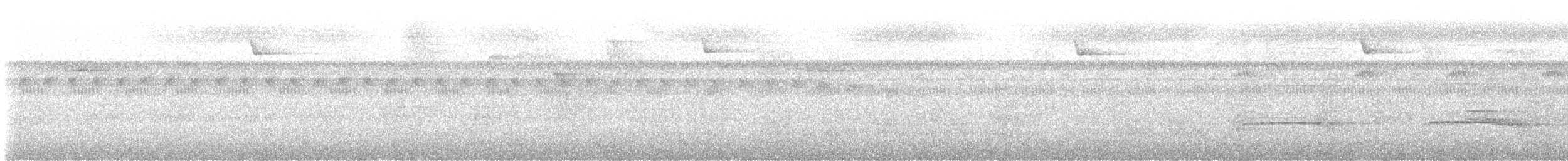 Blue Dacnis - ML645119111