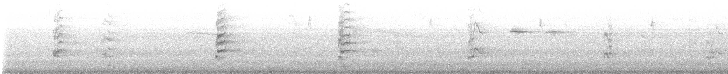 Loro Senil - ML645119239