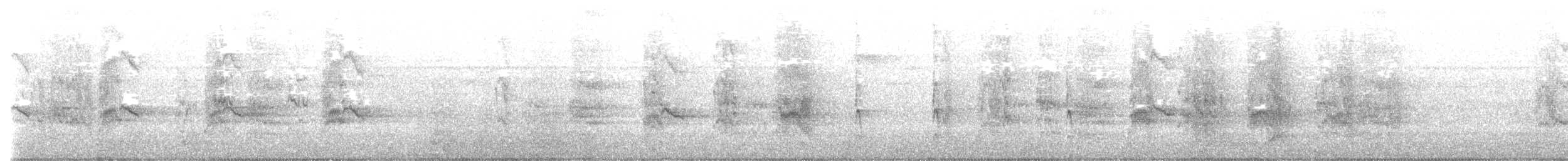 Loro Senil - ML645119246