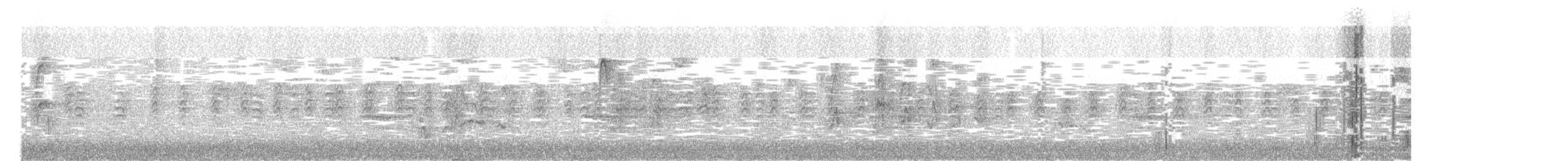 Red-breasted Nuthatch - ML645120120