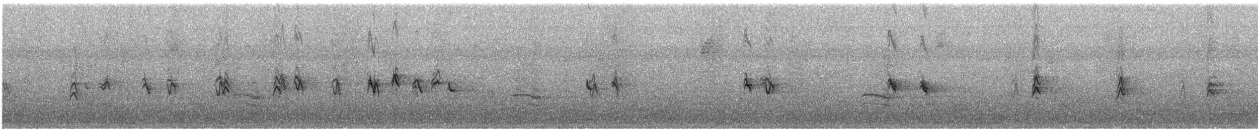 House Finch - ML645120218