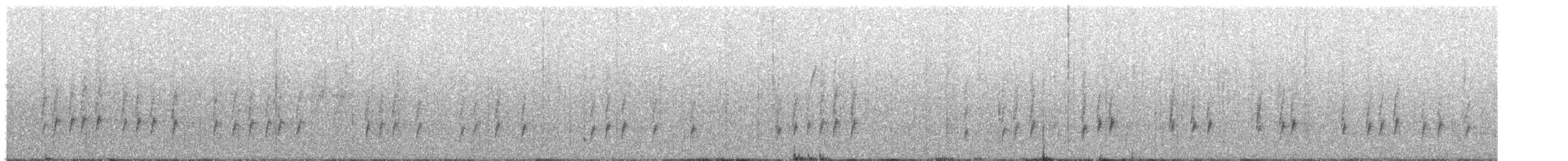 Carolina Wren - ML645120232