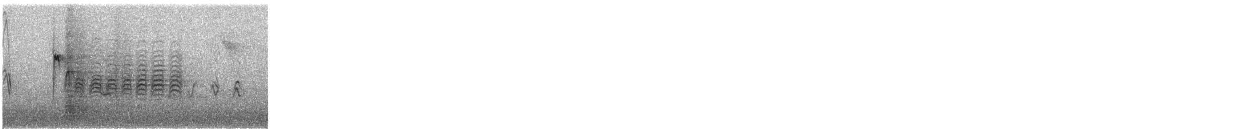 Carolina Chickadee - ML645120325