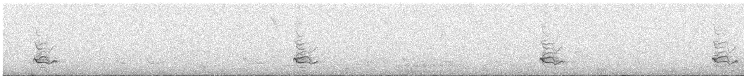 Eastern Bluebird - ML645120402