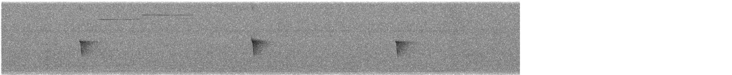 Eastern Phoebe - ML645120427