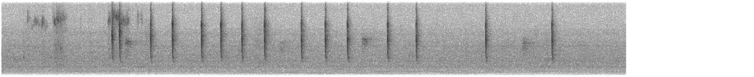 Rufous Hummingbird - ML645120542