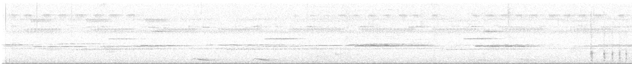 Papuan Boobook - ML645120690