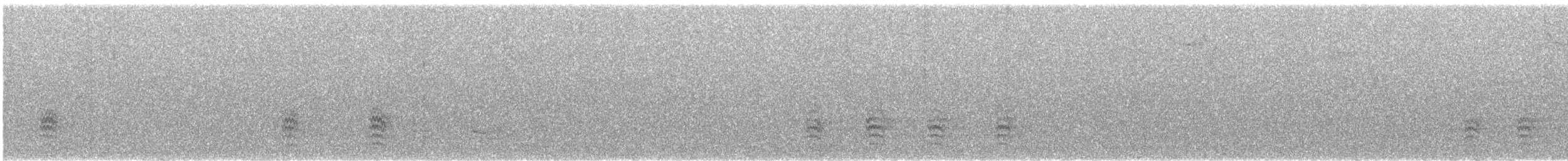 Trepador Pechiblanco - ML645122046