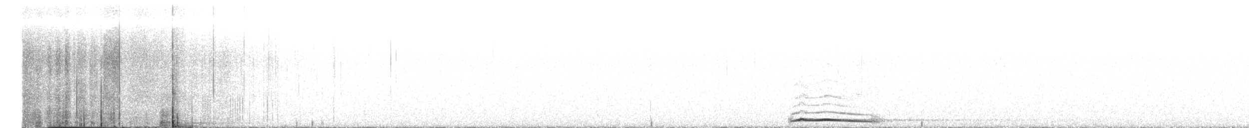 Cárabo Común - ML645122103