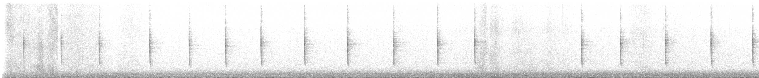 Chingolo Zorruno (iliaca/zaboria) - ML645122452