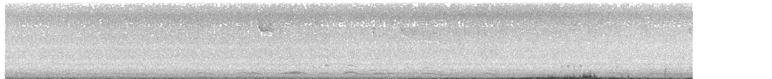 dvergsvane - ML645123666