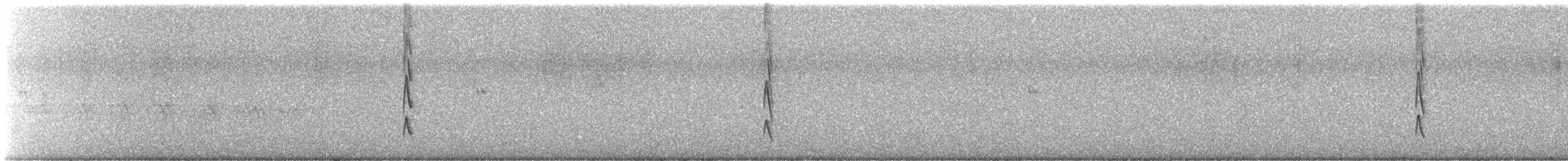 gråtunnelfugl - ML645124437