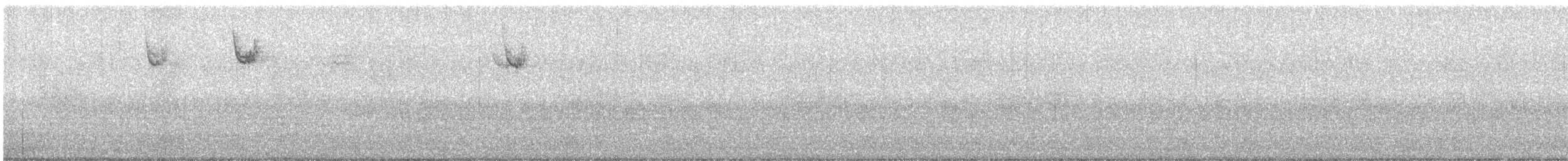 White-throated Sparrow - ML645124494