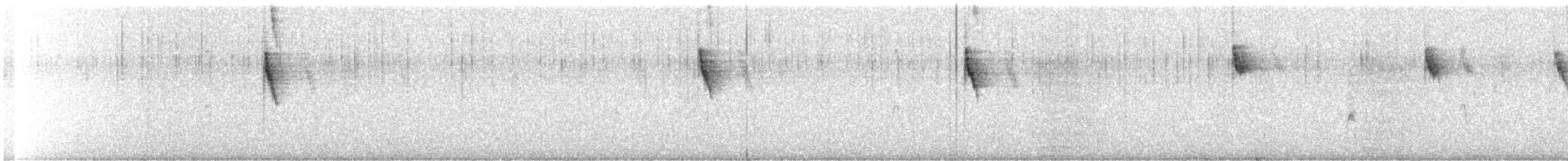 Band-tailed Sierra Finch - ML645124848