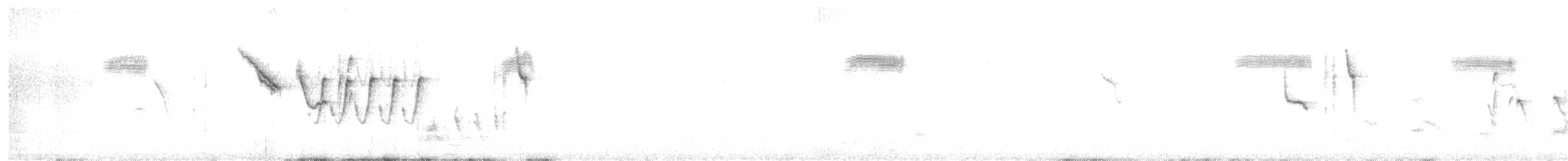 Chestnut-rumped Thornbill - ML645125302