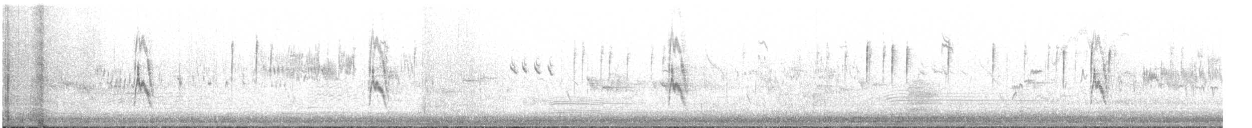 Richard's Pipit - ML645125549