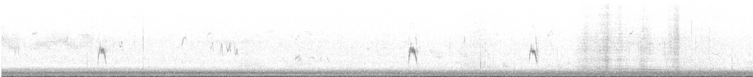 Richard's Pipit - ML645125551