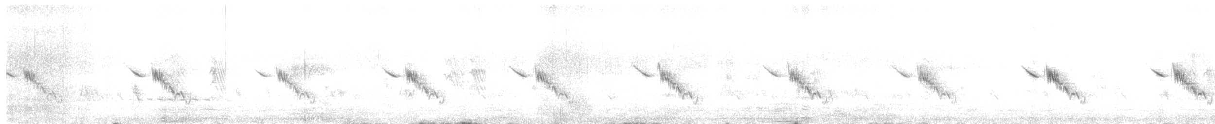 Chirruping Wedgebill - ML645125792