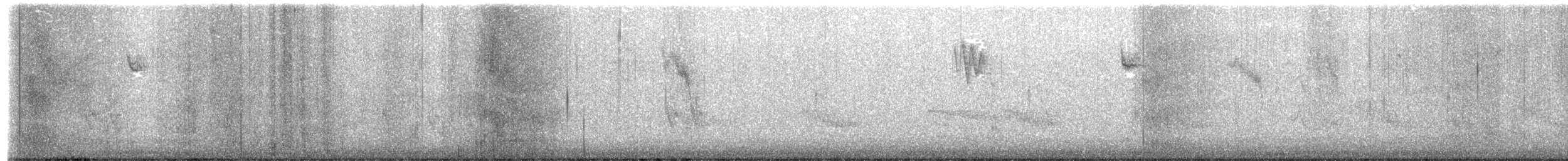 passerine sp. - ML645125963