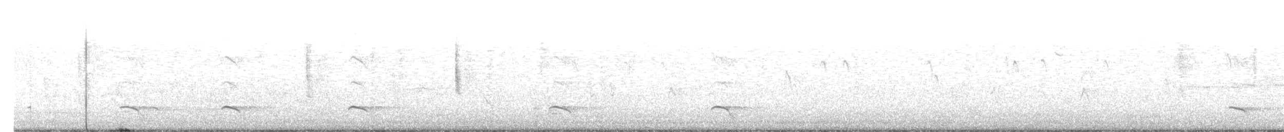 White-tailed Kite - ML645125971