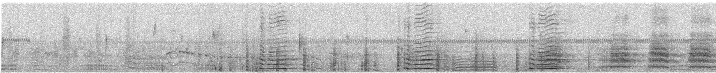 American Coot - ML645128018