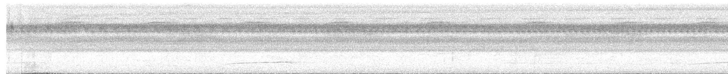 Rufous-tailed Flatbill - ML645128344