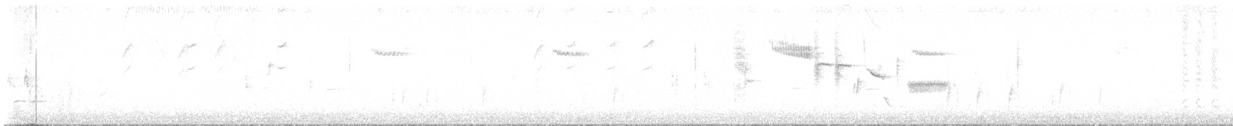 Bewick's Wren - ML645128726