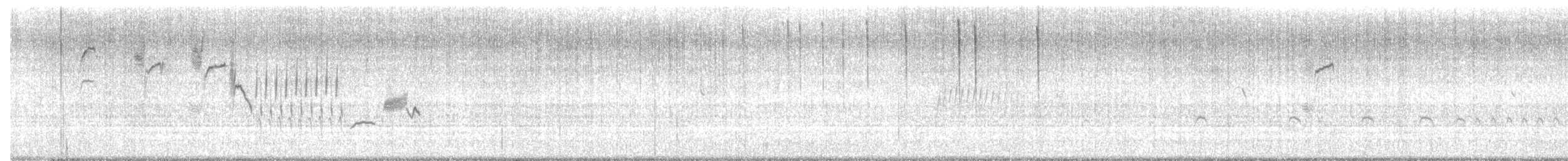 Bewick's Wren - ML645129456