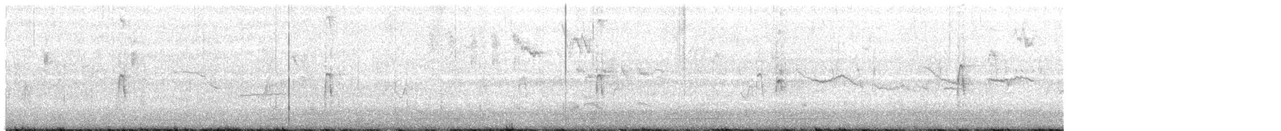 strakapoud americký - ML645129631