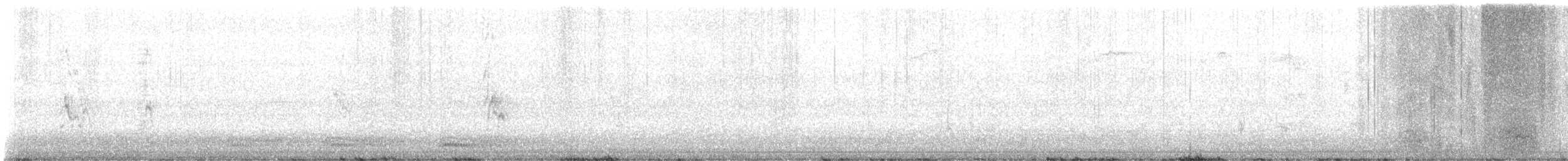 House Sparrow - ML645129673