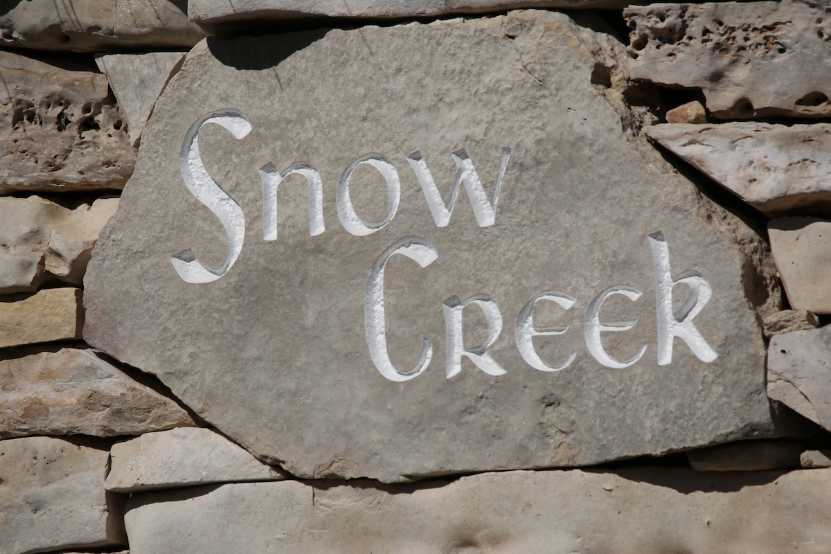 Animals - ML645130788