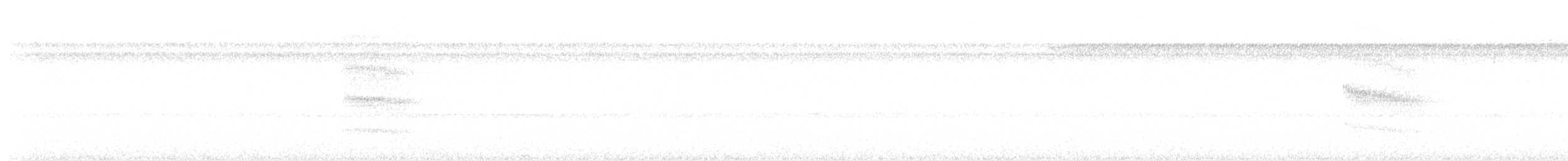 Double-banded Pygmy-Tyrant - ML645131137