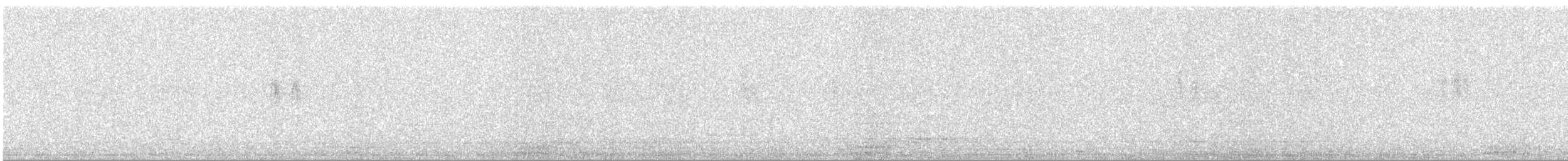 Lavandera Blanca - ML645132653