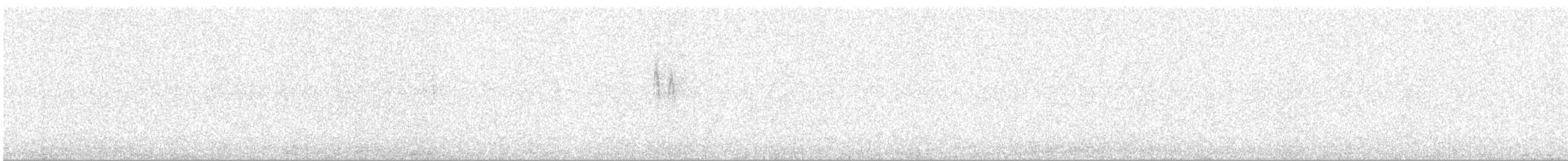 Lavandera Blanca - ML645132705